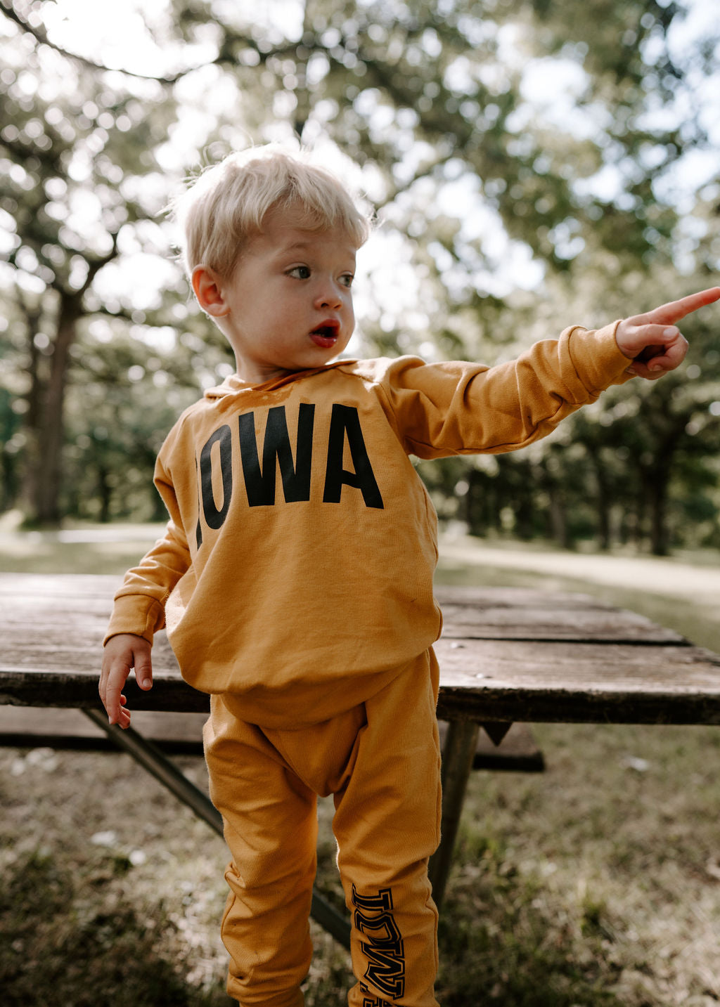 Iowa Mustard Hoodie