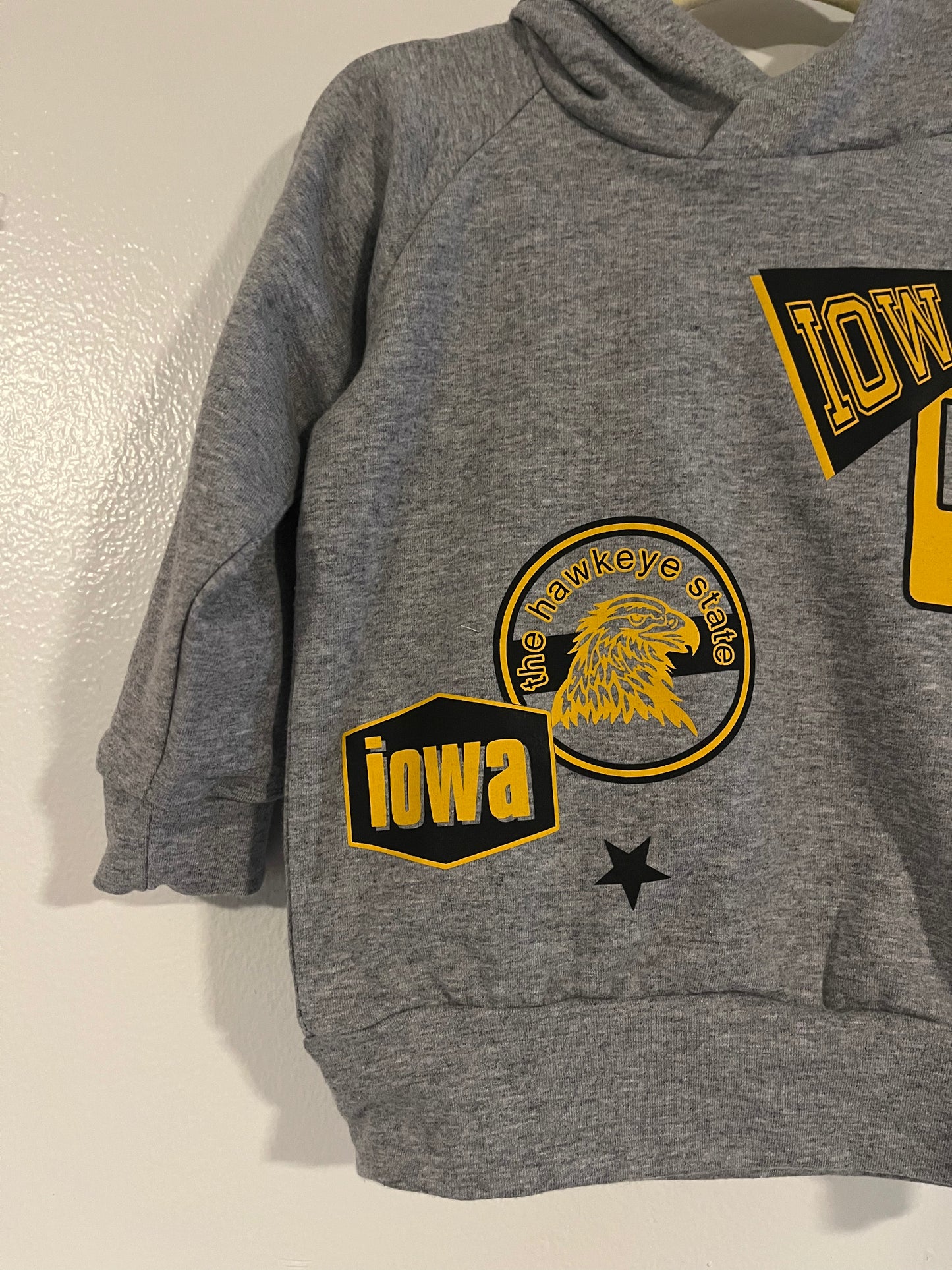Iowa Patch Hoodie
