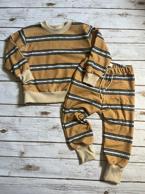Iowa Vintage Stripe Pullover
