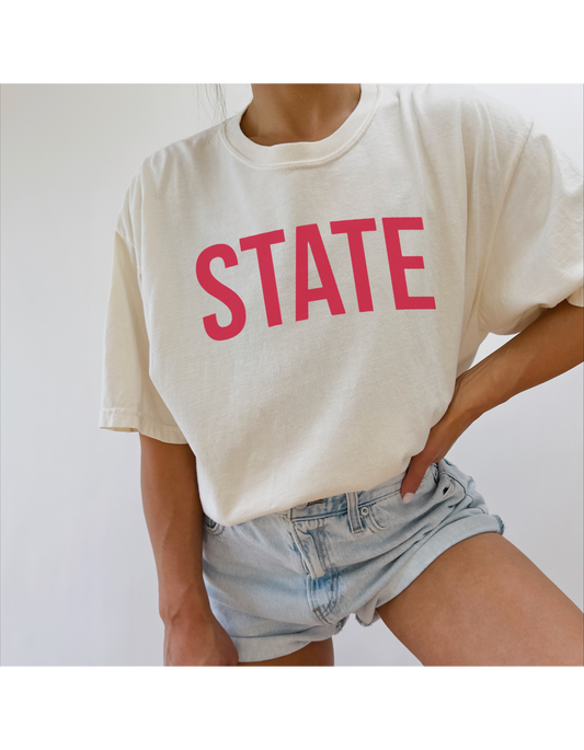 Adult Classic State T -Comfort Colors
